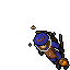 beekeeper_female